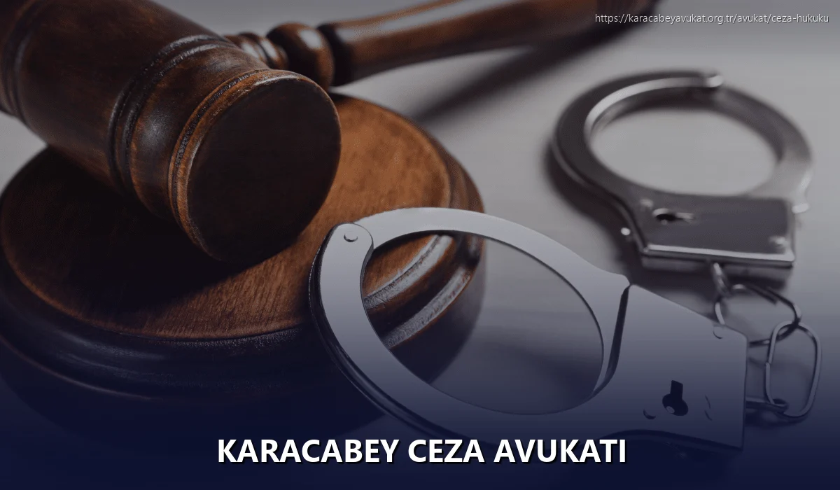 Karacabey Ceza Avukatı